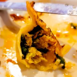 Dumpling Queen - Inside the Chicken & Cilantro Dumplings