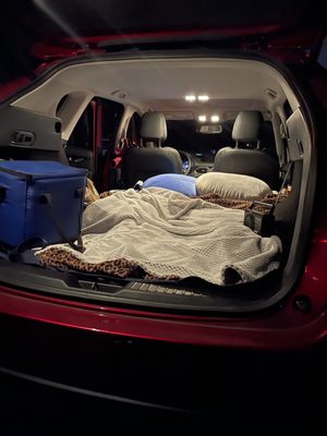 Starlight Drive-In Theatre and Flea Market by null