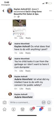 saras dog gone beautiful