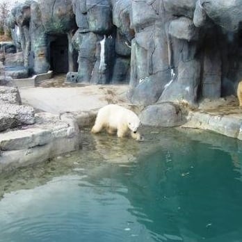 Toronto Zoo - Zoos Near Me - Toronto, Ontario Toronto Zoo - Zoos Near Me - Toronto, Ontario