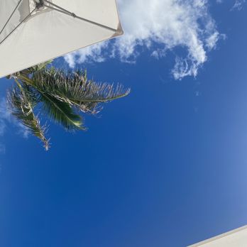 Hilton Cancun All-Inclusive - Poolside lounging views - Hotels Near Me - Cancún, ROO Hilton Cancun All-Inclusive - Poolside lounging views - Hotels Near Me - Cancún, ROO
