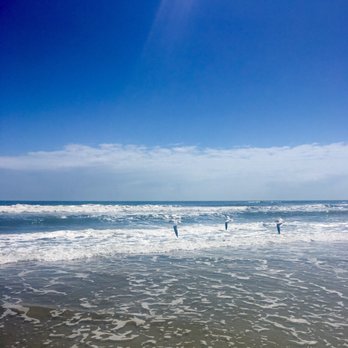 Anastasia State Park - Anastasia Beach - Parks Near Me - Saint Augustine, Florida