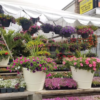 Ariemma's Garden Center - Florists Near Me - Staten Island, New York