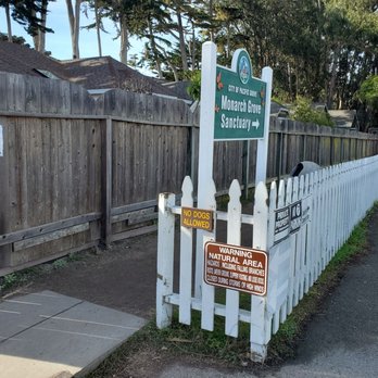 Monarch Grove Sanctuary - Entrance - Parks Near Me - Pacific Grove, California Monarch Grove Sanctuary - Entrance - Parks Near Me - Pacific Grove, California