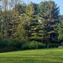 Photo of Good Lords Landscaping