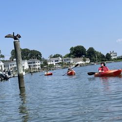 Blue Heaven Kayak Paddle Board Rentals