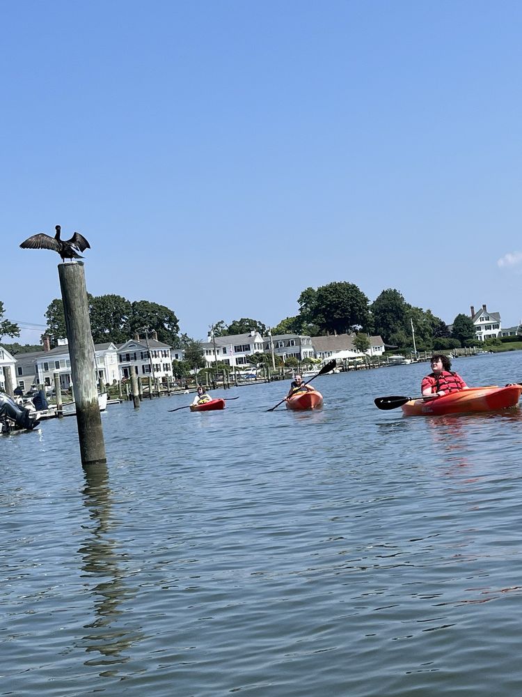 Blue Heaven Kayak Paddle Board Rentals Logo