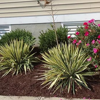 Calloways Landscaping - the front of a house - Landscaping Near Me Calloways Landscaping - the front of a house - Landscaping Near Me