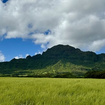 Kauai Soul Travel - Travel Services Near Me Kauai Soul Travel - Travel Services Near Me