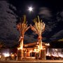 Photo of Ambra Night