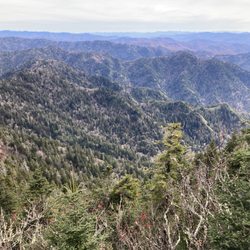 Mount Le Conte - View from (near) the top