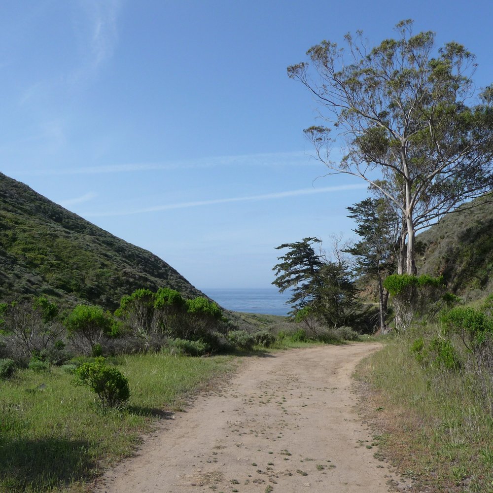 Harmony Headlands State Park - Getting close to the ocean - about 1.75 miles - Parks Near Me - Cayucos, California Harmony Headlands State Park - Getting close to the ocean - about 1.75 miles - Parks Near Me - Cayucos, California