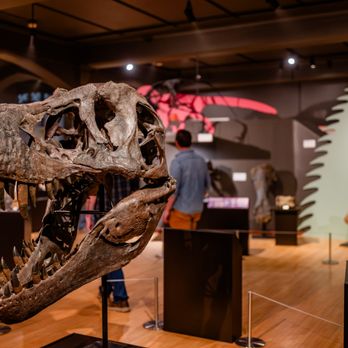 History Museum at the Castle - Photo courtesy of Graham Washatka - Museums Near Me - Appleton, Wisconsin History Museum at the Castle - Photo courtesy of Graham Washatka - Museums Near Me - Appleton, Wisconsin