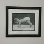 Photo of Stephanie Hall DO