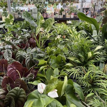 Martin's Home & Garden - Nurseries & Gardening Near Me - Murfreesboro, Tennessee Martin's Home & Garden - Nurseries & Gardening Near Me - Murfreesboro, Tennessee