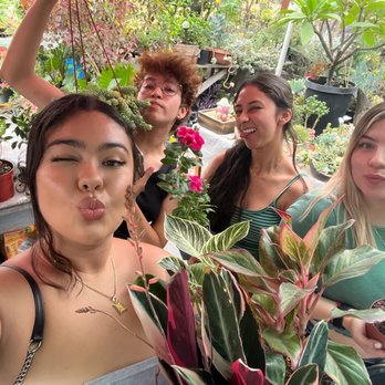 Aeonian Verde Nursery - Nurseries & Gardening Near Me - Bell Gardens, California