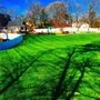Photo of First-In Turf