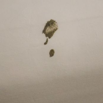 WorldMark Indio - Some type of feces on our bed sheets upon check in, welcome to Worldmark Indio! - Resorts Near Me - Indio, California