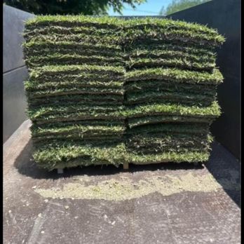 Ernesto Landscaping - Tree Services Near Me - San Antonio, Texas Ernesto Landscaping - Tree Services Near Me - San Antonio, Texas