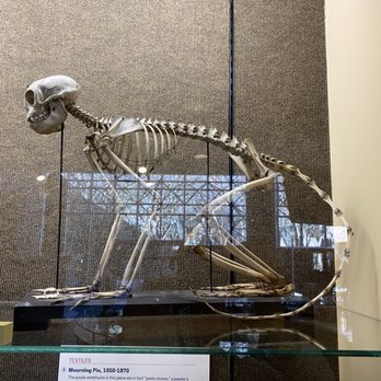 The Charleston Museum - Museums Near Me - Charleston, South Carolina