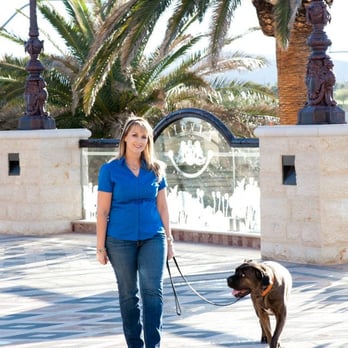 Gold Paw Dog Training - AJ and Cassinna enjoying a nice walk. - Pet Training Near Me Gold Paw Dog Training - AJ and Cassinna enjoying a nice walk. - Pet Training Near Me