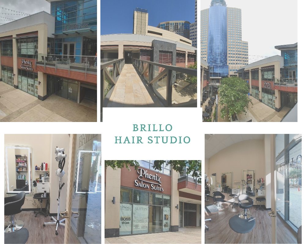 Brillo Hair Studio Logo