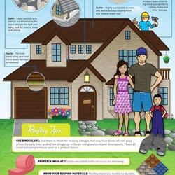 Absolute Roofing & Restoration