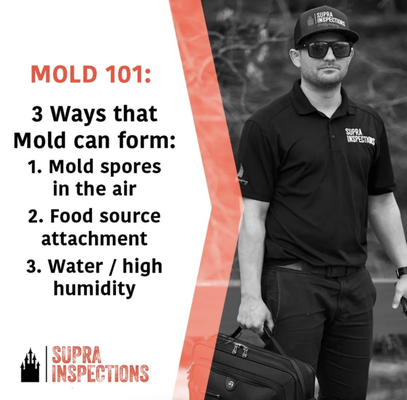 Mold Remediation - David Colagiovanni is the owner to Supra Inspections, LLC, a home inspection, mold assessment and remediation contractor, radon laboratory and construction safety specialist. We are proud to serve the Putnam, Westchester, Fairfield County, Bronx markets. Mold Remediation - David Colagiovanni is the owner to Supra Inspections, LLC, a home inspection, mold assessment and remediation contractor, radon laboratory and construction safety specialist. We are proud to serve the Putnam, Westchester, Fairfield County, Bronx markets.