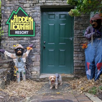 Hidden Mountain Resort - Resorts Near Me - Sevierville, Tennessee