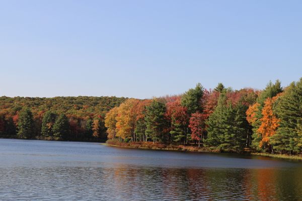 The Bradstan Boutique Hotel at The Eldred Preserve by null