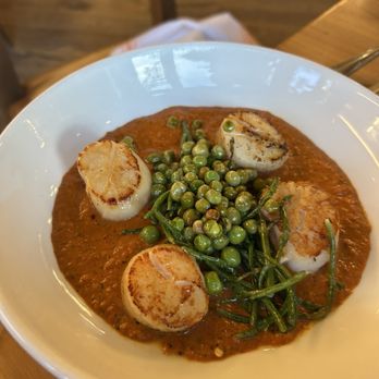 Zohara - Scallops - Mediterranean Near Me - West Hartford, Connecticut Zohara - Scallops - Mediterranean Near Me - West Hartford, Connecticut