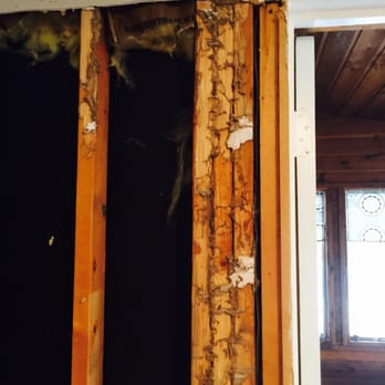 Optimal Safe Pest - Damage - Pest Control Near Me - Wylie, Texas