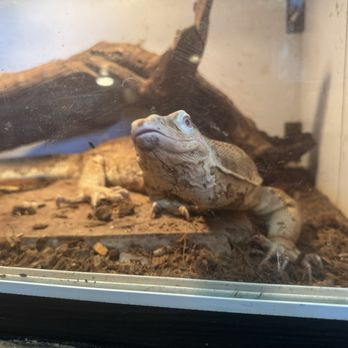 JTK Reptiles - Reptile Shops Near Me - Long Beach, California JTK Reptiles - Reptile Shops Near Me - Long Beach, California