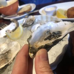 Lobster Pot - Oysters