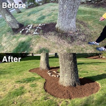 Dillon’s Designs Landscaping - Landscaping Near Me