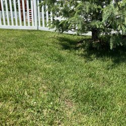 K&S Lawn Maintenance - THE TREE TRIMMING QUOTE FROM KEVIN THE K/S LAwn Co 30% HIGHER THAN 3/ OTHER COMPANIES DOING SAME Price gouging CUSTOMER BUYER BEWARE