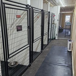 Bamboo Dog Resort