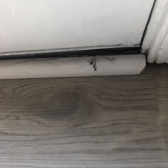 Flooring Doctor - a close up of a wood floor - Flooring Near Me - Langhorne, Pennsylvania Flooring Doctor - a close up of a wood floor - Flooring Near Me - Langhorne, Pennsylvania