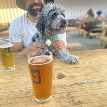 Project 9 Brewing - Breweries Near Me - Seattle, Washington Project 9 Brewing - Breweries Near Me - Seattle, Washington
