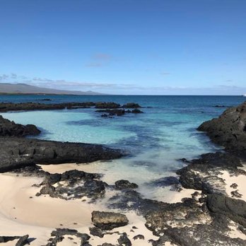 Latin America for Less - Galapagos Islands. - Travel Agents Near Me - Round Rock, Texas Latin America for Less - Galapagos Islands. - Travel Agents Near Me - Round Rock, Texas