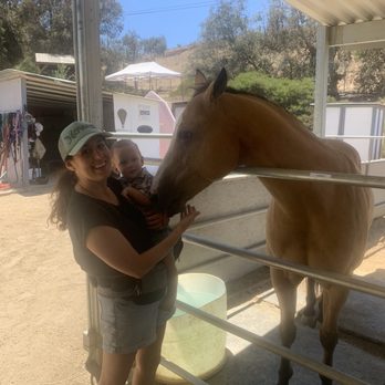 Poway Horse Party - Meeting the horse, Spirit. - Kids Activities Near Me