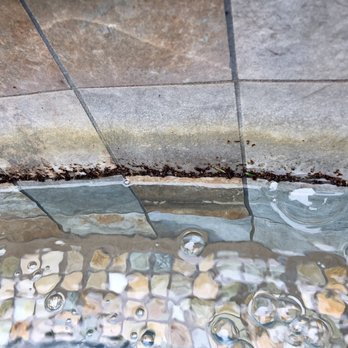 South Texas Pool Tile Cleaning - Before - Pool & Hot Tub Service Near Me - San Antonio, Texas South Texas Pool Tile Cleaning - Before - Pool & Hot Tub Service Near Me - San Antonio, Texas