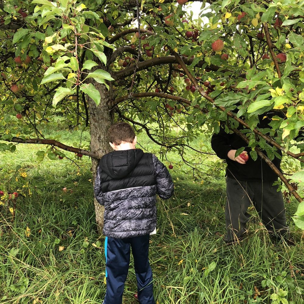 Randall Orchards - Fruits & Veggies Near Me - Standish, Maine