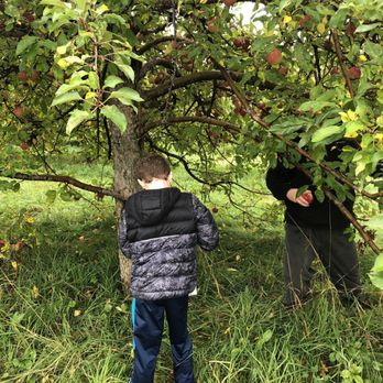 Randall Orchards - Fruits & Veggies Near Me - Standish, Maine