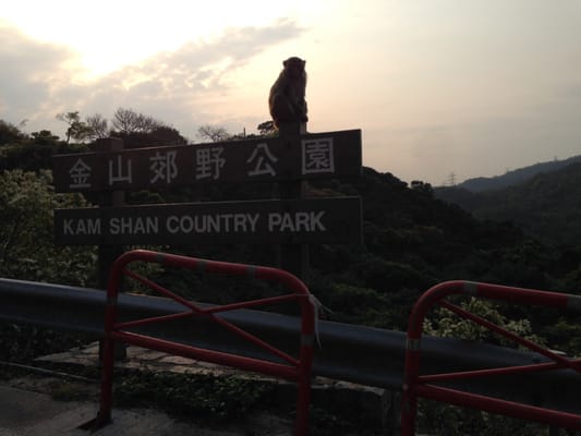 Kam Shan Country Park by null