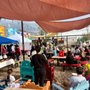 Photo of Vegan Village Earth Day Festival