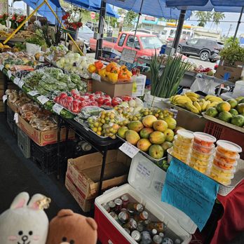 Hilo Farmer's Market - Cut and peeled fruit in containers... ready to eat! - Farmers Market Near Me - Hilo, Hawaii Hilo Farmer's Market - Cut and peeled fruit in containers... ready to eat! - Farmers Market Near Me - Hilo, Hawaii
