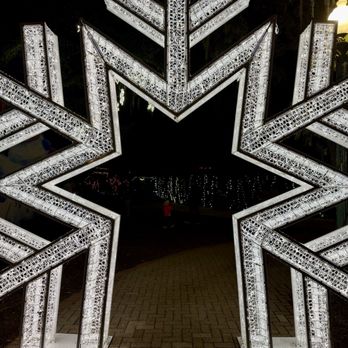 City Park - Snowflake flow - Parks Near Me - New Orleans, Louisiana City Park - Snowflake flow - Parks Near Me - New Orleans, Louisiana