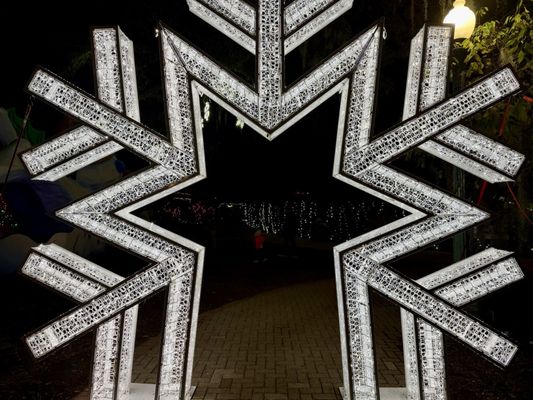 City Park Topiary by null