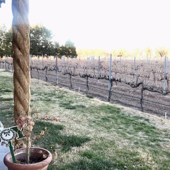 Zin Valle Vineyards - Wineries Near Me - Canutillo, Texas